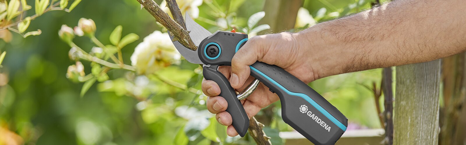 Garten tools