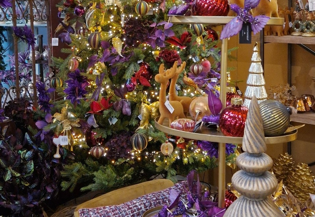 Unsere Weihnachtsshow schon besucht?