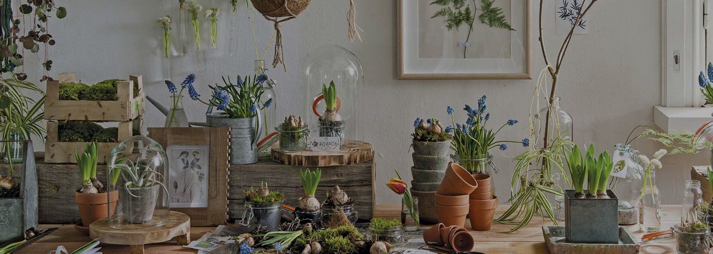 Tuincentrum Vlodrop Tuincentrum Schmitz