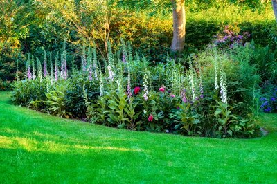 Die Vorteile heimischer Gartenpflanzen