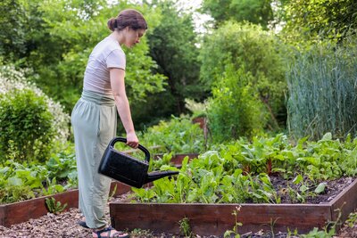 Gemüsegarten starten? Jetzt ist der richtige Zeitpunkt