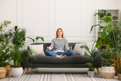Pflanzen gegen die Herbst-Blues: Diese Arten sorgen für extra Positivität