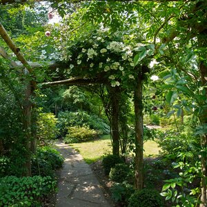 Schattengarten: Ein grünes Paradies fern der Sonne