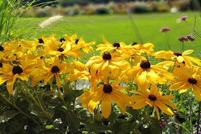 So machen Sie Ihren Garten startklar für den Spätsommer