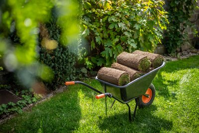 Tipps für einen frühlingsfrischen Rasen