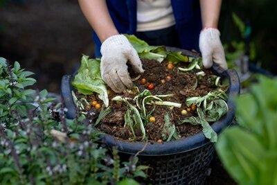 Zu schade für den Müll: So freut sich Ihr Garten über Küchen- und Gartenreste