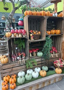 Bereit für den Herbst?