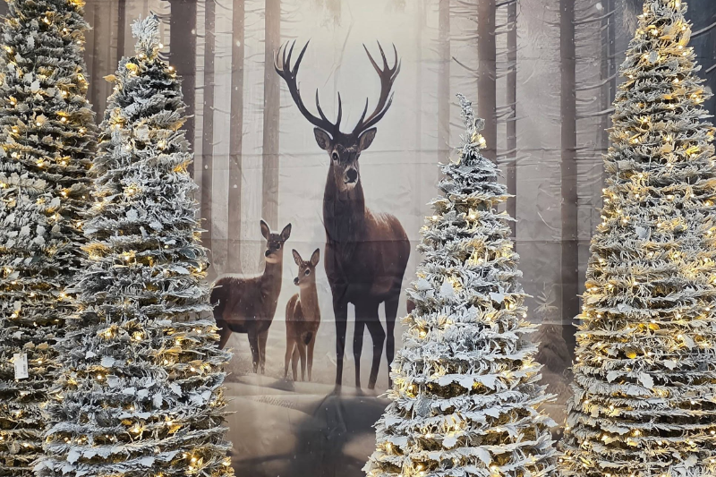 Herbst & Weihnachten 2026